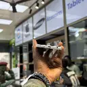 WhatsApp Image 2025-11-14 at 13.21.37 (1).webp