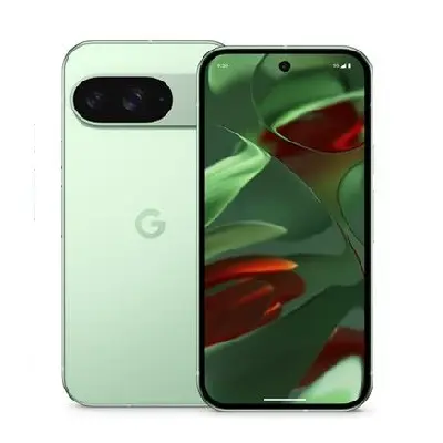 Google pixel 9 pro 